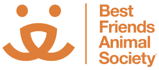 bfas-logo(1).png